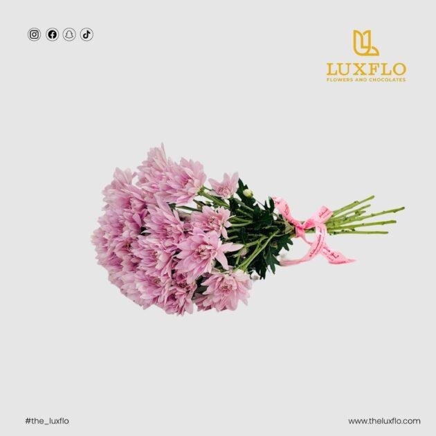 Wholesale Light Pink Chrysanthemum-30-Lxf-1550