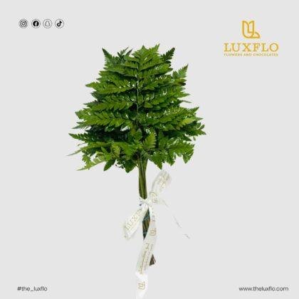 Wholesale Leather Fern-32-Lxf-1552