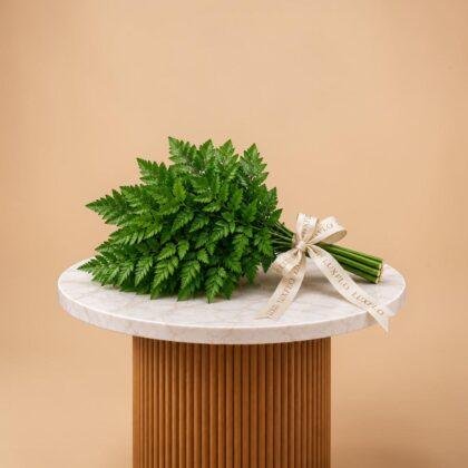 Wholesale-Leather Fern Leaves-LXF-1552