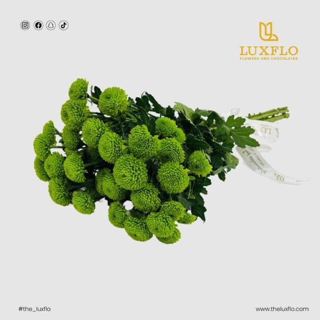 Wholesale-35-Chrysanthemum Santini Green-LXF-1555