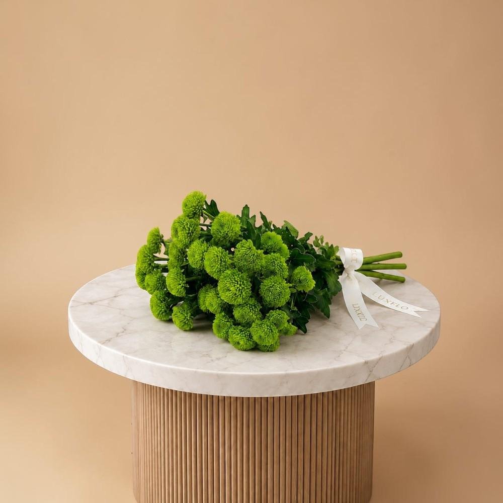Wholesale-Chrysanthemum Santini Green-1555