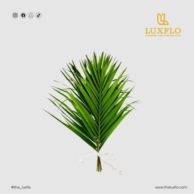 Wholesale-37-Areca Palm Leaves-LXF-1560
