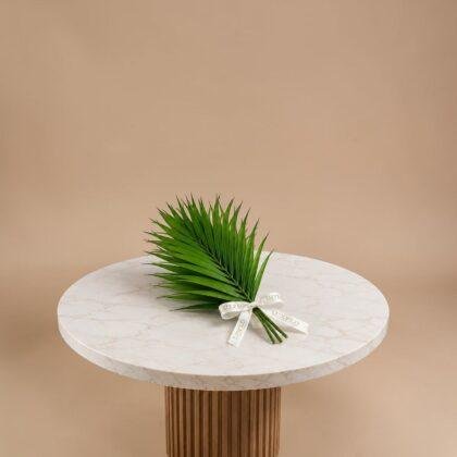 Wholesale-Areca Palm Leaves-LXF-1560