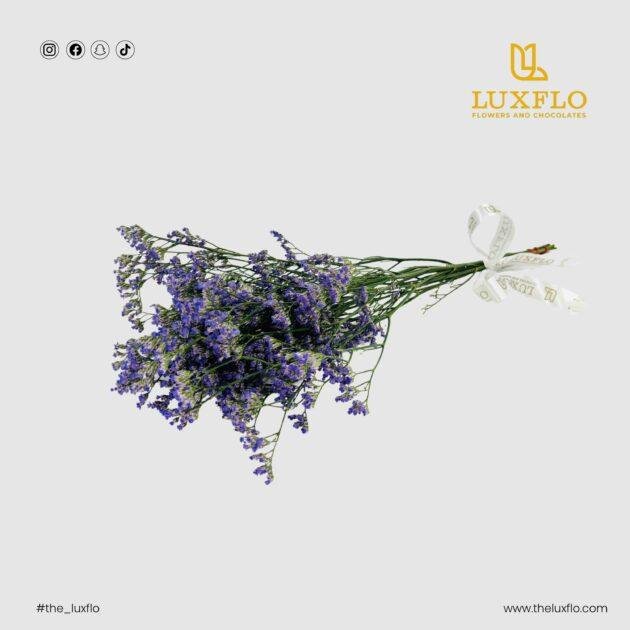 Wholesale-38-Purple Limonium-LXF-1561
