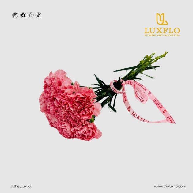 Wholesale-41-Carnation Pink-LXF-1565
