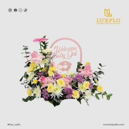 Baby Girl-LXF-1604