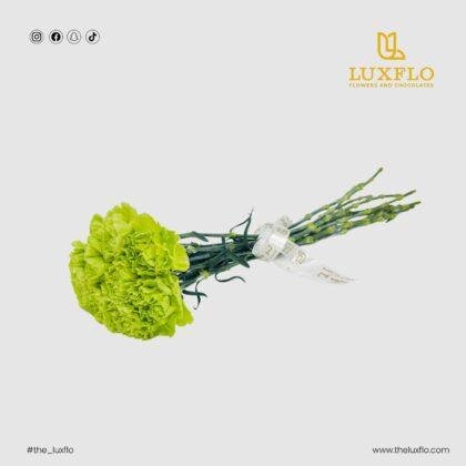 Wholesale-42-Carnation Green-LXF-1606