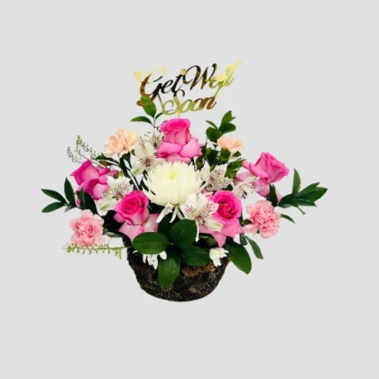 Get Well Soon-LXF-1529