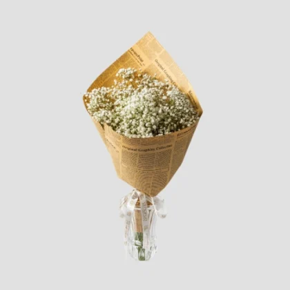 Cloud Bloom-Gypsophila-LXF-1390