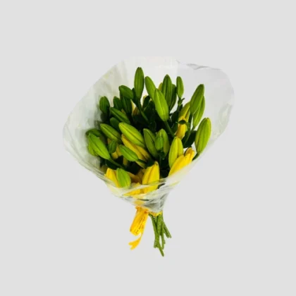Wholesale Yellow Lily-18-Lxf-1489