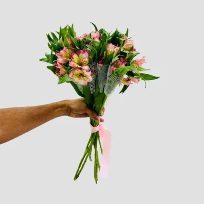 Wholesale Pink Alstroemeria-23-lxf-1499