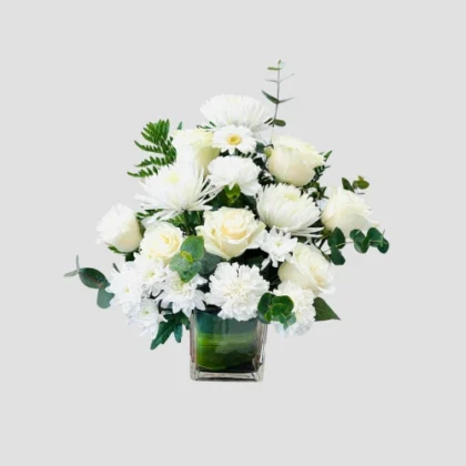 White Whisper-LXF-1545