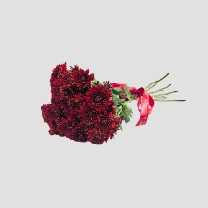 Wholesale Maroon Chrysanthemum-30-Lxf-1549