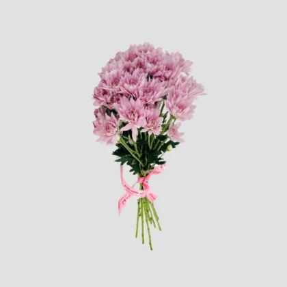 Wholesale Light Pink Chrysanthemum-30-Lxf-1550