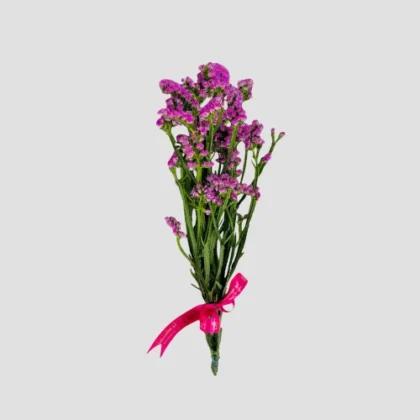 Wholesale-36-statice Purple-lxf-1556