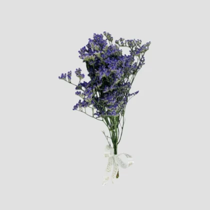 Wholesale-38-Purple Limonium-LXF-1561