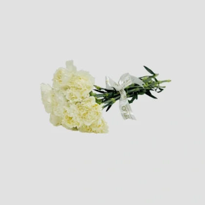 Wholesale-40-Carnation White-LXF-1564