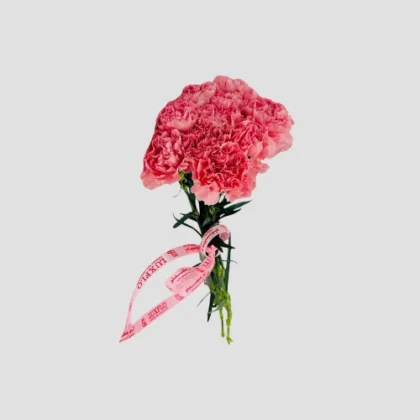 Wholesale-41-Carnation Pink-LXF-1565