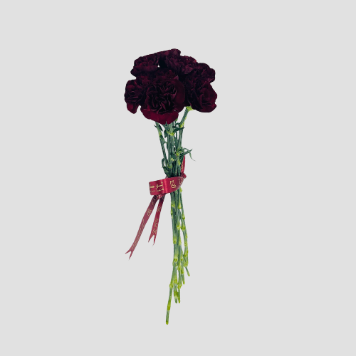 Wholesale-43-Carnation Maroon-LXF-1607