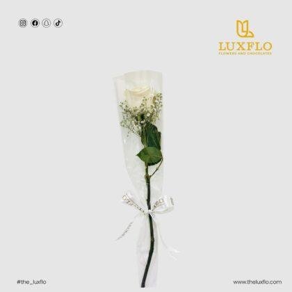 Single Flower-White-LXF-1615