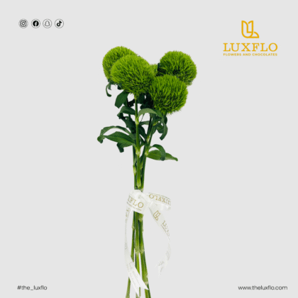 Wholesale-45-Green Ball-LXF-1618