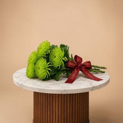 Wholesale-Green Spider Chrysanthemum-LXF-1643