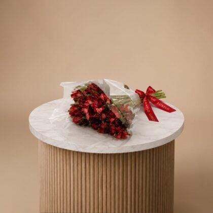 Wholesale-Red Alstroemeria-LXF-1649