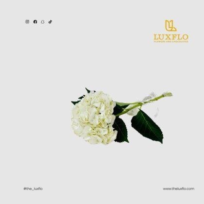 Wholesale-54-White Hydrangea-LXF-1697