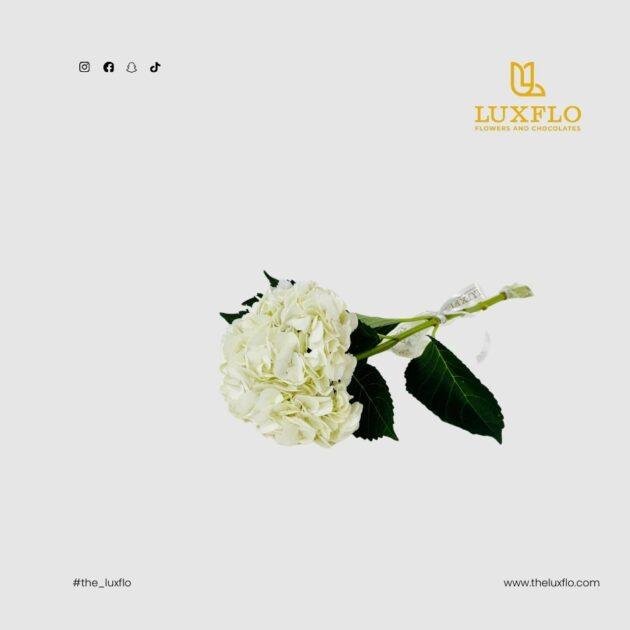 Wholesale-54-White Hydrangea-LXF-1697