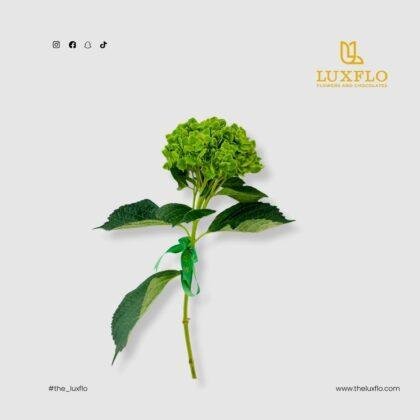 Wholesale-55-Green Hydrangea-LXF-1698