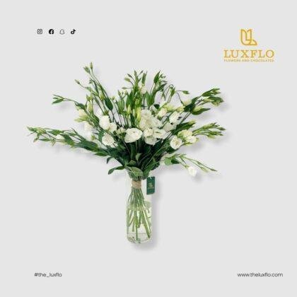 Eustoma Bloom-LXF-1699