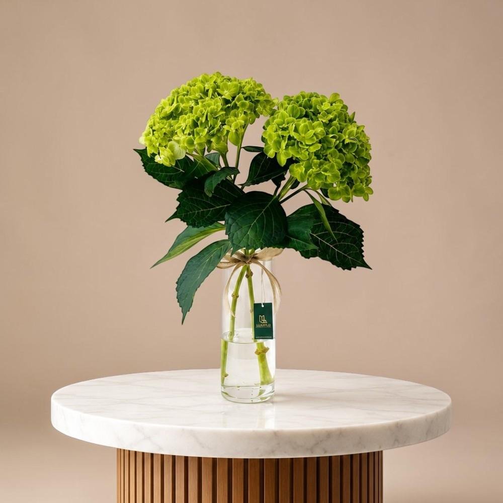 Verdant Glow-LXF-1707