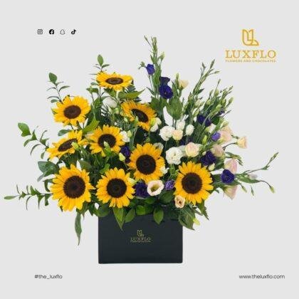 Hello Sunshine-LXF-1714
