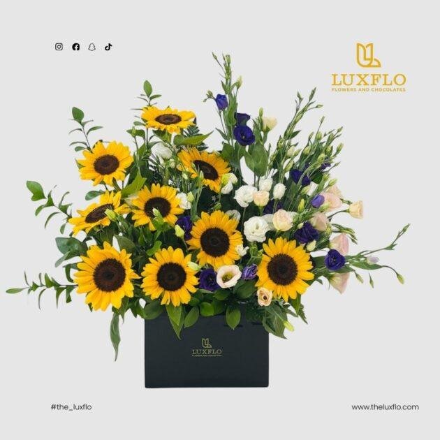 Hello Sunshine-LXF-1714