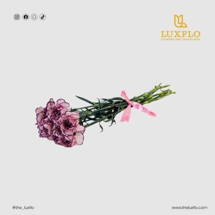Wholesale-57-Carnation picotee-LXF-1717