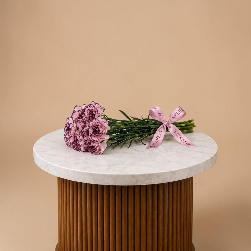 Wholesale-Carnation picotee-LXF-1717