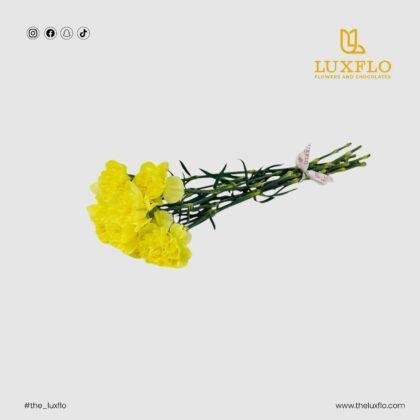 Wholesale-58-Carnation Yellow-LXF-1719