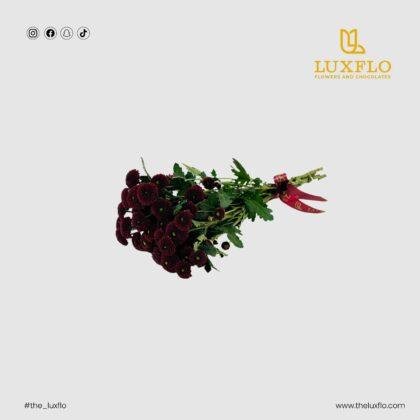Wholesale-59-Chrysanthemum Santini Maroon-LXF-1720