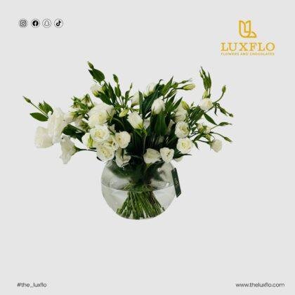 Eustoma-Fish Ball-LXF-1722