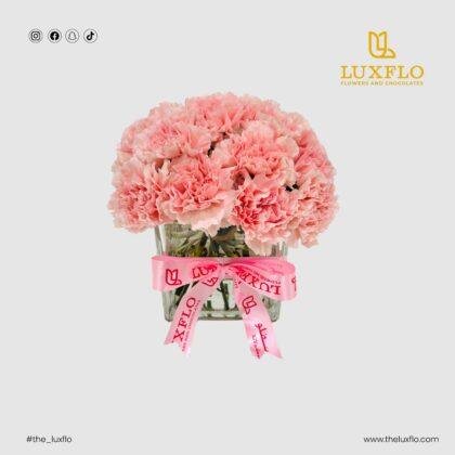 Pink Aura-LXF-1651