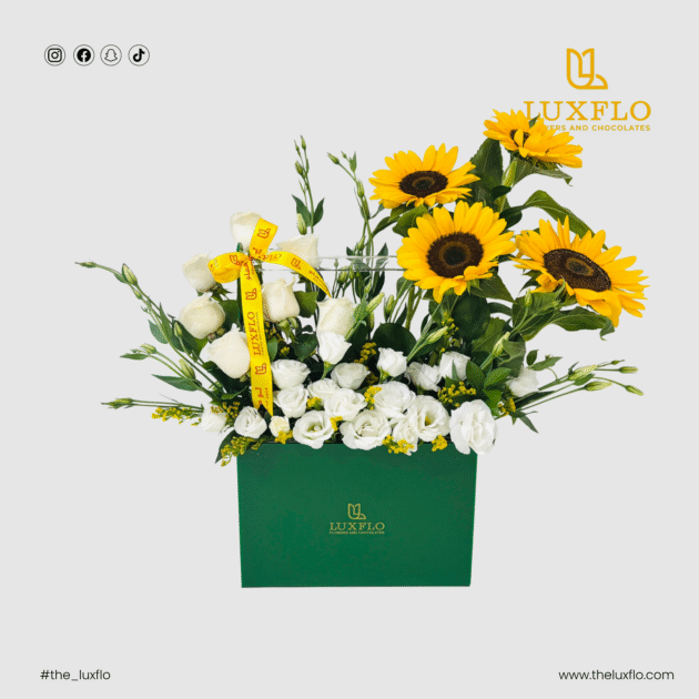 Sunshine Box-LXF-1679