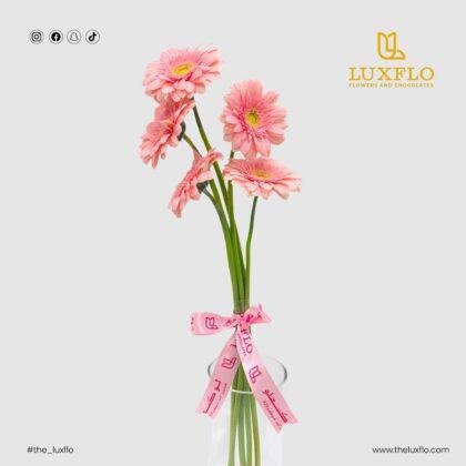 Wholesale-50-Pink Gerbera-LXF-1652