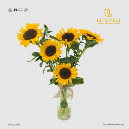 Light in Bloom-LXF-1683