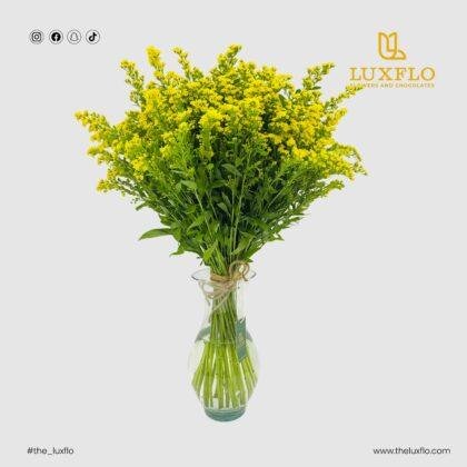 solidago Vase-LXF-1658