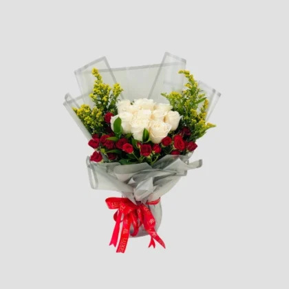 Moonlight Blush-LXF-1685