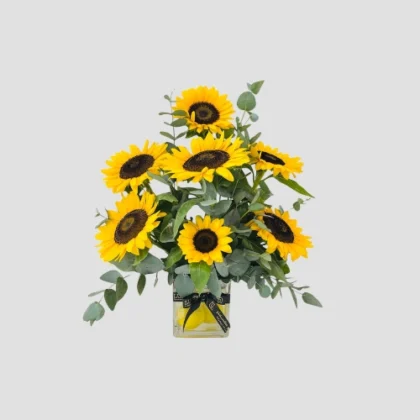 Amalfi Sunlight-LXF-1691