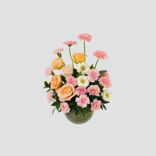 Blushing Garden-LXF-1695