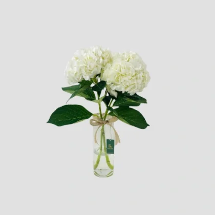 Cloud Bloom-LXF-1703