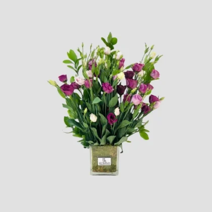 Violet Whisper-LXF-1718