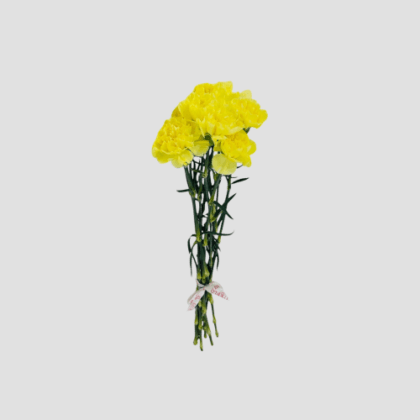Wholesale-58-Carnation Yellow-LXF-1719